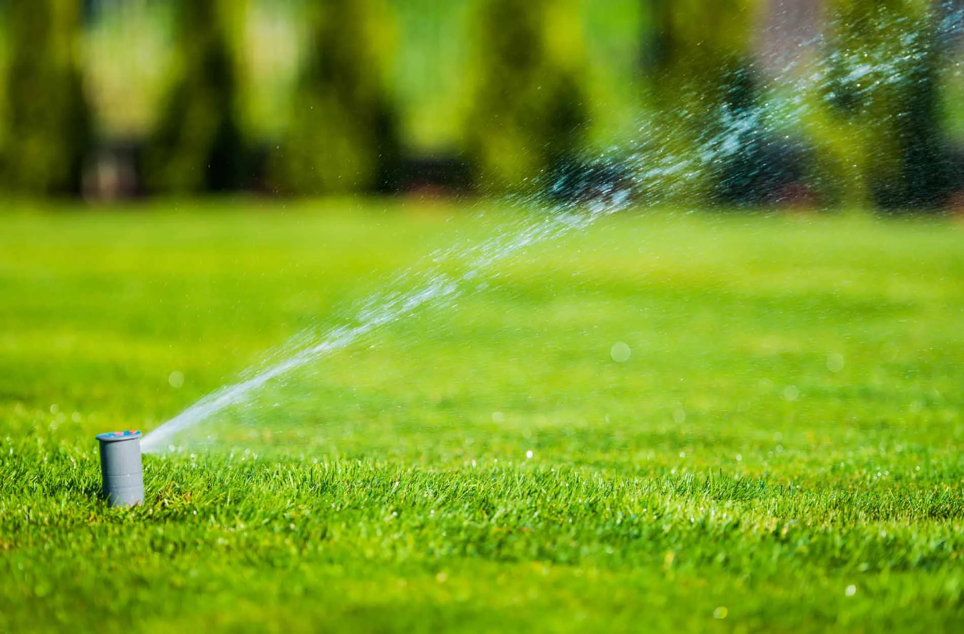 Como calcular a metragem de grama necessária para o seu projeto