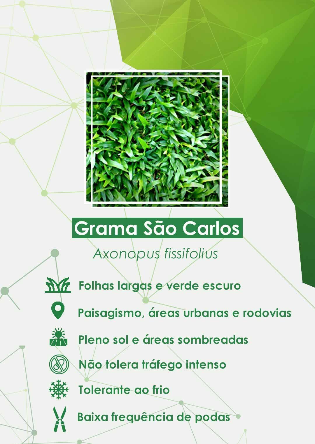 Erros comuns que prejudicam o gramado (e como evitar)